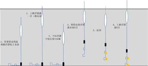 水深一米的黑坑钓大鲫鱼用什么型号浮漂?