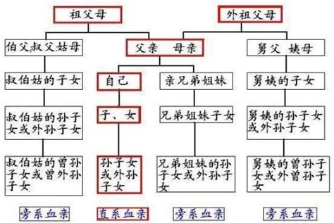 直系三代指哪三代