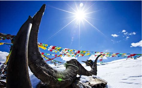 最近西藏旅游团报价