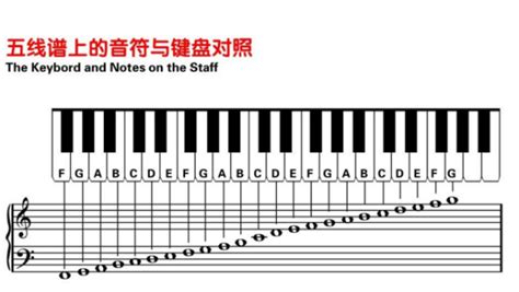 五線譜與鋼琴鍵盤的對應(yīng)