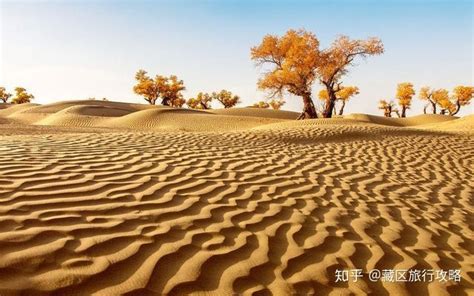 撒哈拉绿洲是如何变成沙漠的