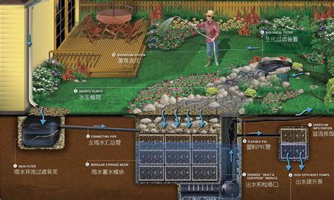 雨水收集厂家哪家好?麻烦大家帮我推荐推荐!!谢谢