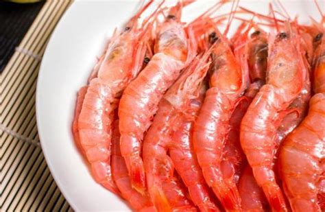 孕妇能吃皮皮虾吗中期