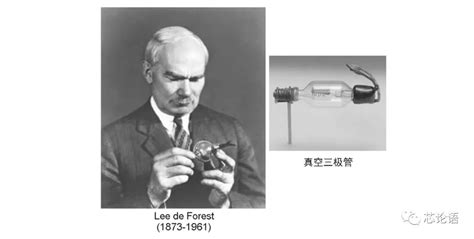 forest是什么意思