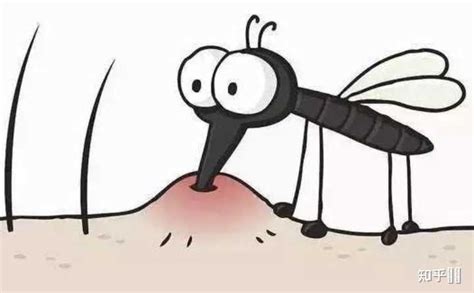 孕妇夏季怎么防蚊？该怎么防止蚊虫叮咬