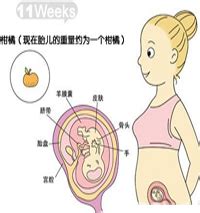 怀孕10周孕妇应该吃什么
