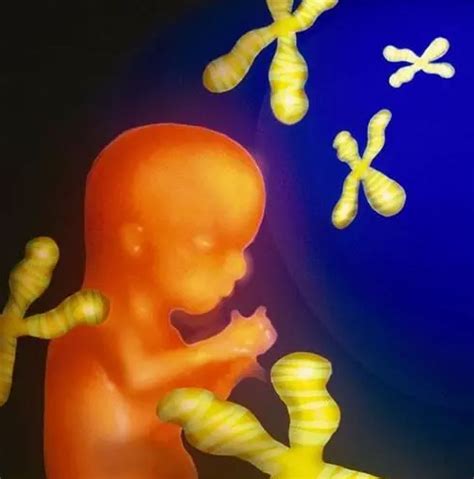 生男孩吃什么碱性食物最好