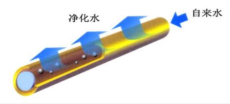 什么是毛细管作用?