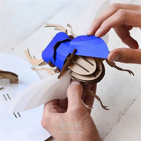 手工制作立体模型大全