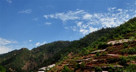 下载凉山西昌天气预报
