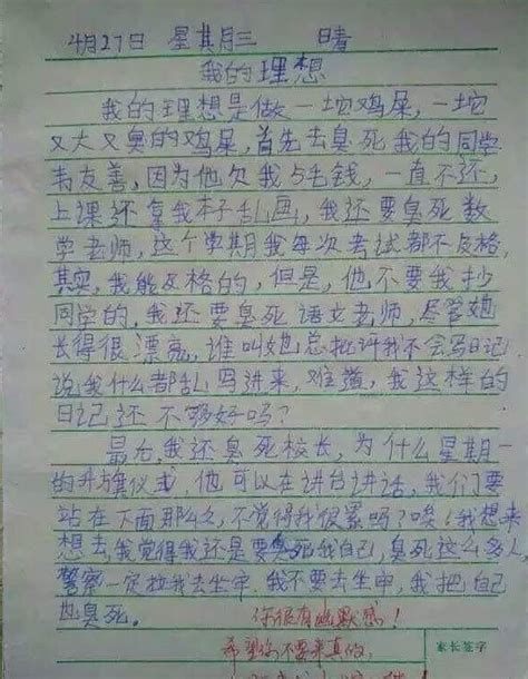 我也是拼装达人-日记作文300字（共4则）