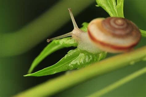 蜗牛手机APP能查到他人的行动轨迹吗?