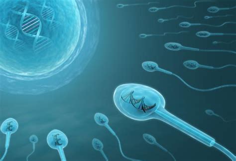 男性备孕怎么样提高精子质量