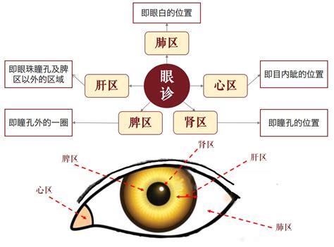 倪海厦讲牙痛