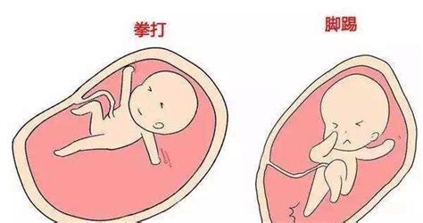 孕30周胎动次数怎么算