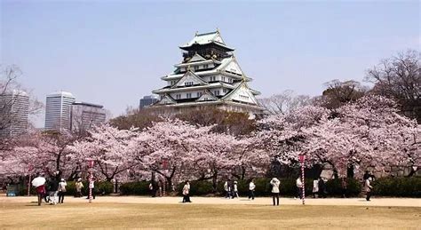 2019全球最宜居城市排名，日本东京和大阪都入选了