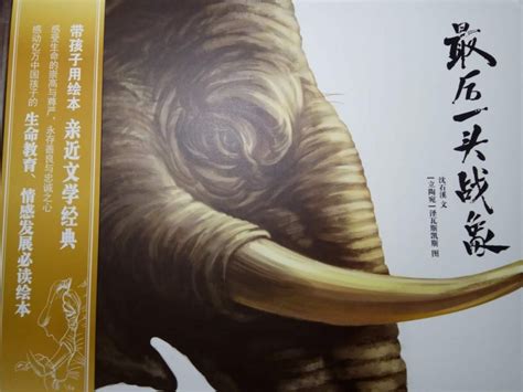 《最后一头战象》读后感_小学读后感500字（共计4篇）