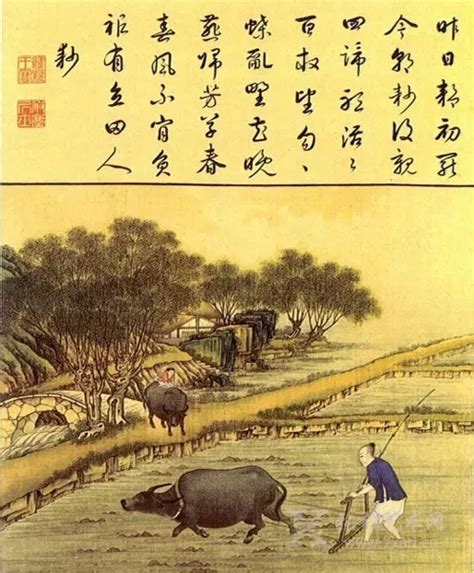 描写骑士诗句