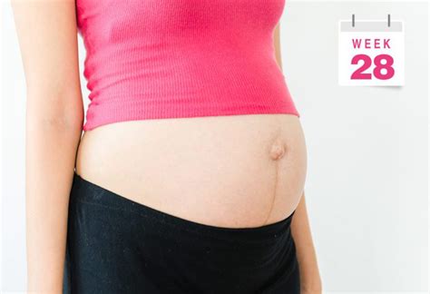 怀孕1-8周胎儿大小图片