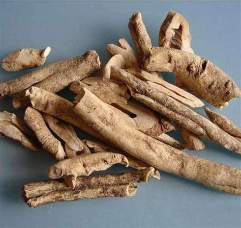 芍药根的功效与作用