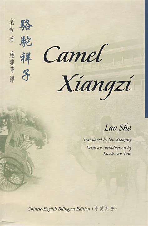 骆驼祥子精彩语句