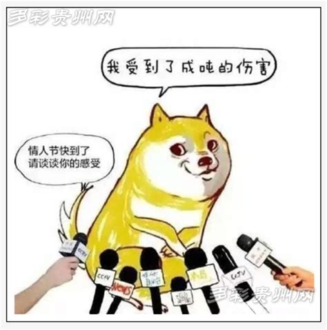单身诚心交异性朋友句子说说