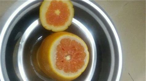 孕妇咳嗽能吃橙子吗?
