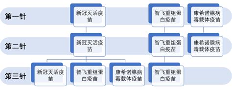 深圳康泰第三针预约