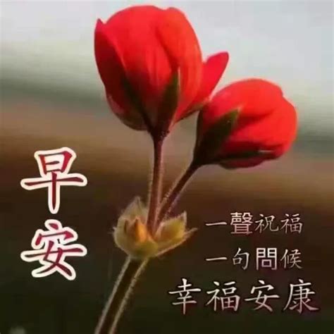 休闲放松心情的优美句子