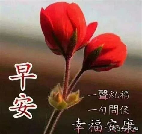 朋友问好祝福语[优秀81句]