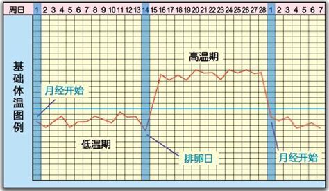 排卵期体温表怎么算