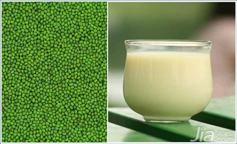 豆?jié){機(jī)有什么食譜?