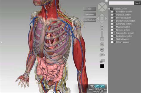 有没有那种3D的解剖学软件