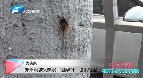 避孕针是什么意思