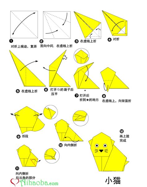 折动物大全