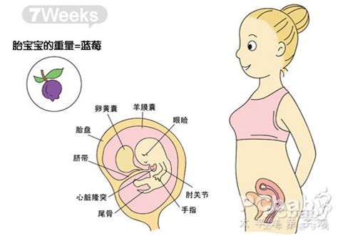 怀孕第一个月吃药对胎儿有影响吗