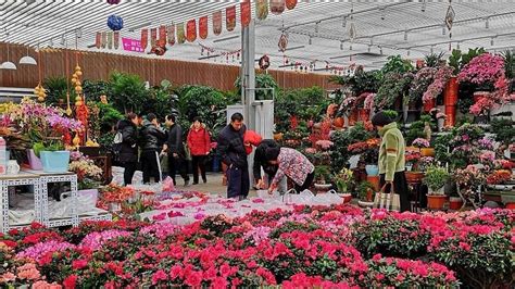 西安的花卉市场现在都在搬迁,买花都不好买,春节了,现在想买几盆花,去哪里合适呀?