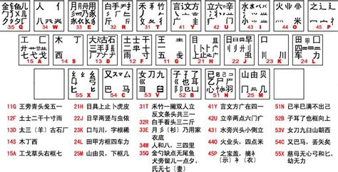 五笔打字用哪个软件好?