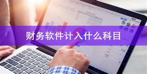 软件服务费怎么做会计分录
