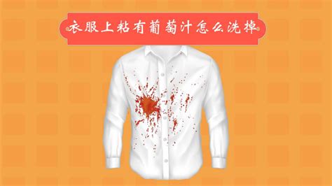 葡萄汁滴在衣服上,用什么方法可以洗掉