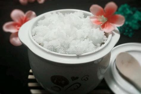 求告知電燉鍋可以做米飯嗎