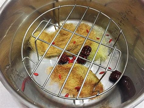 好玩：放下手机，“养鸡”式陪娃，享受无干扰的亲子时光