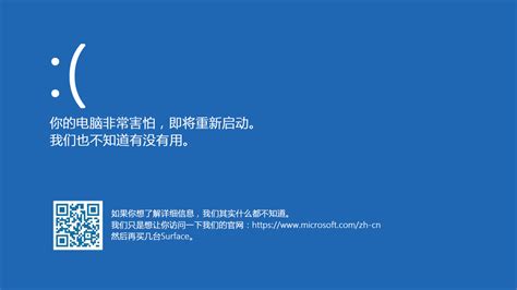 boot camp 无法下载windows支持软件