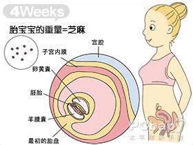 怀孕五个月胎儿发育好的症状