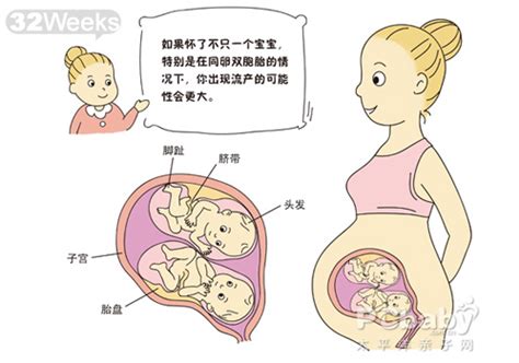 怀孕5个月有哪些症状