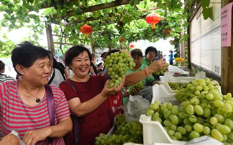 8月份昆明附近哪里可以采摘水果?