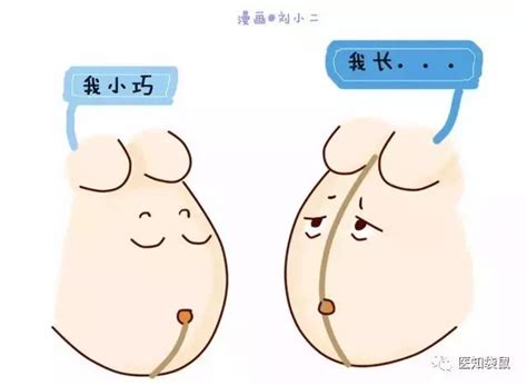 怀孕肚子黑线看男女准吗