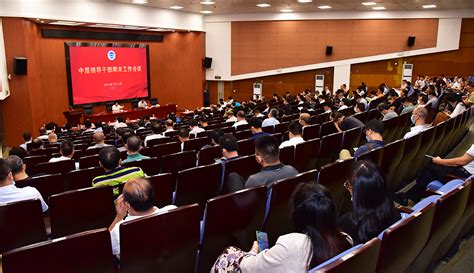 市教育局工作总结