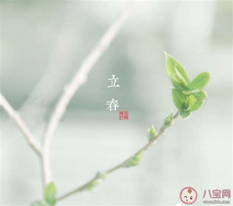 立春祝福语大全集文字(共计98句)
