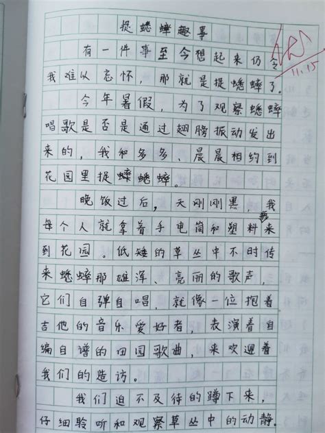 淘气包-写人作文450字（推荐6篇）